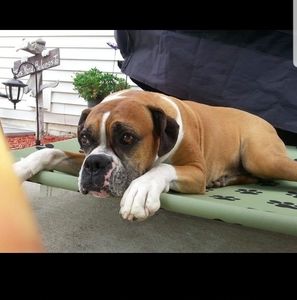 Meet your Posher, Rena